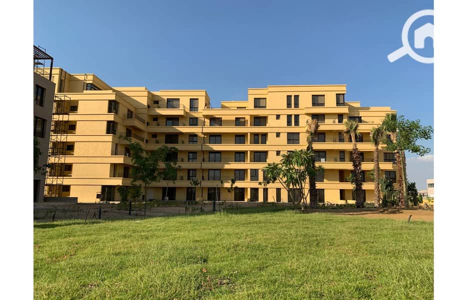 16 photo_52_2025-02-12_13-53-10. jpg