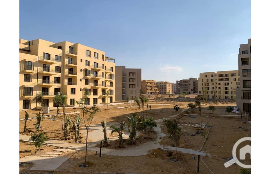 2 photo_5_2025-02-12_13-53-10. jpg