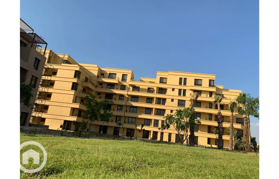 11 photo_33_2025-02-12_13-53-10. jpg