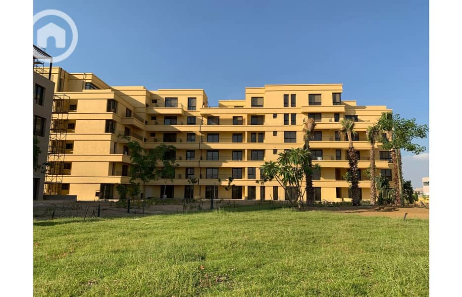 11 photo_52_2025-02-12_13-53-10. jpg