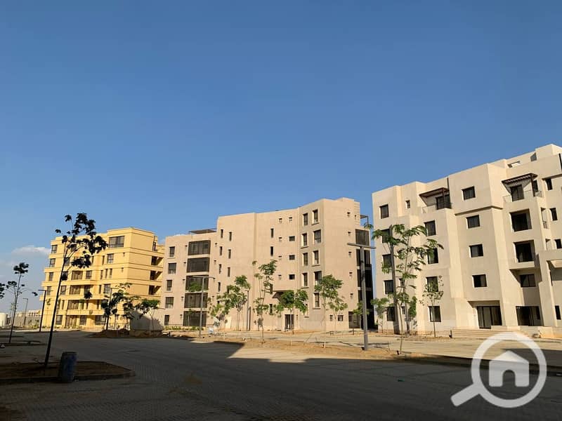 3 photo_4_2025-02-12_13-53-10. jpg