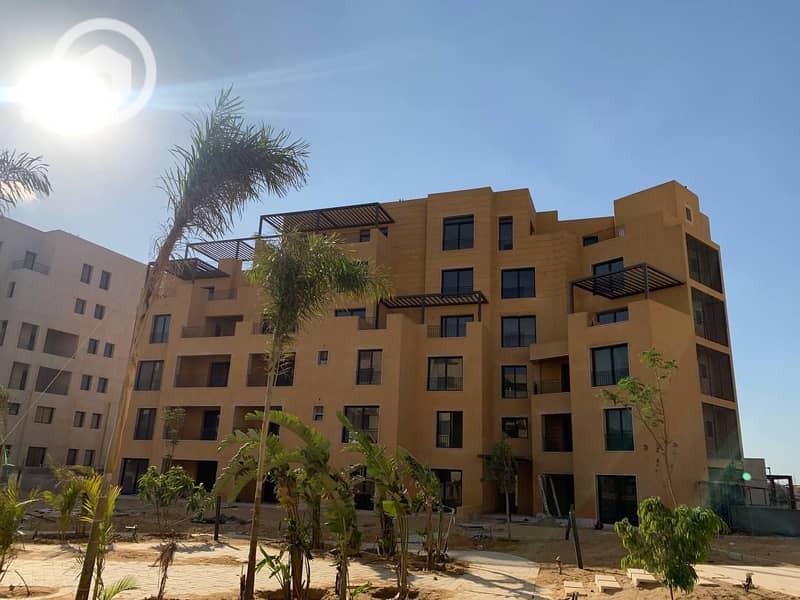 12 photo_15_2025-02-12_13-53-10. jpg