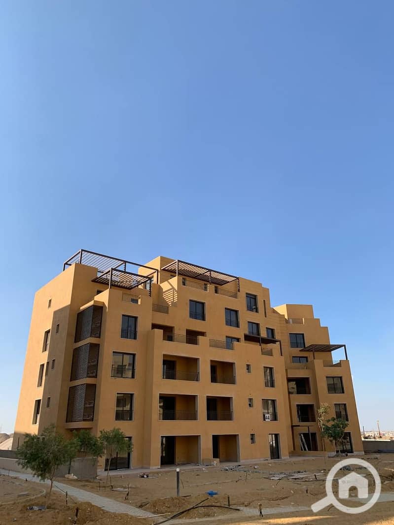 34 photo_41_2025-02-12_13-53-10. jpg