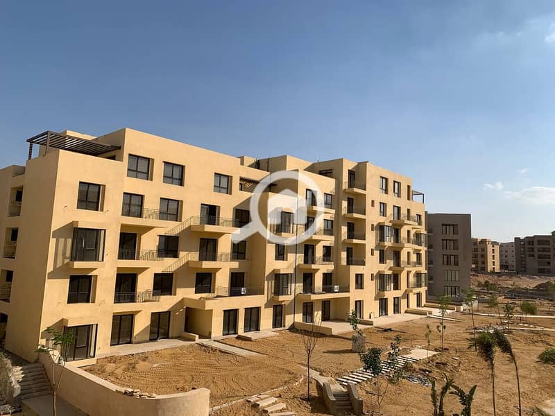 35 photo_42_2025-02-12_13-53-10. jpg