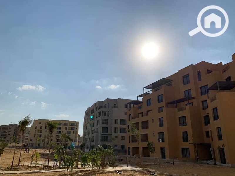 51 photo_58_2025-02-12_13-53-10. jpg