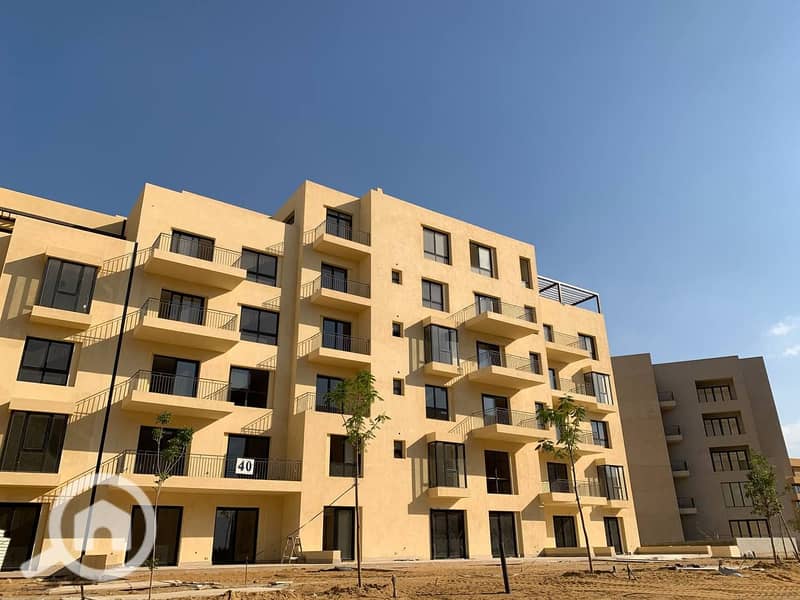 53 photo_60_2025-02-12_13-53-10. jpg