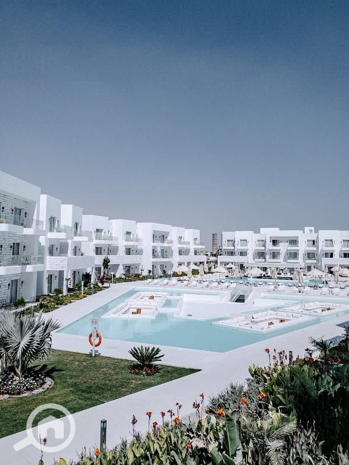 8 574571862_2625877374457540_1576959525446907014_n. jpg