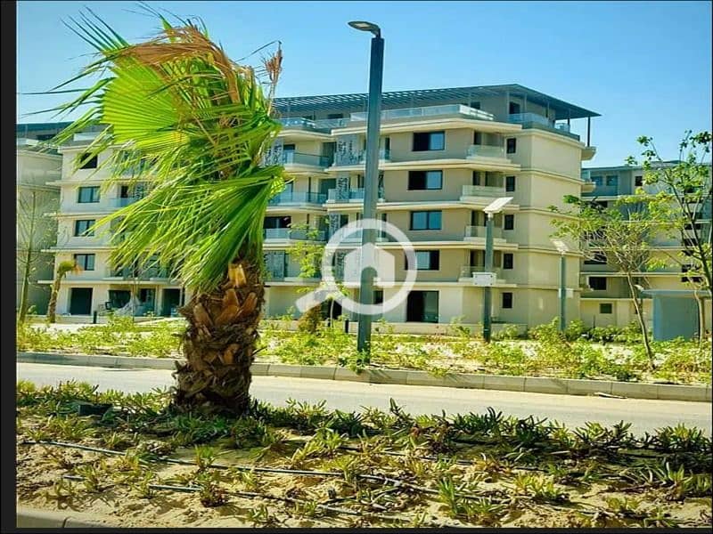 5 WhatsApp Image 2025-11-12 at 06.53. 47_d1f7e0cd. jpg