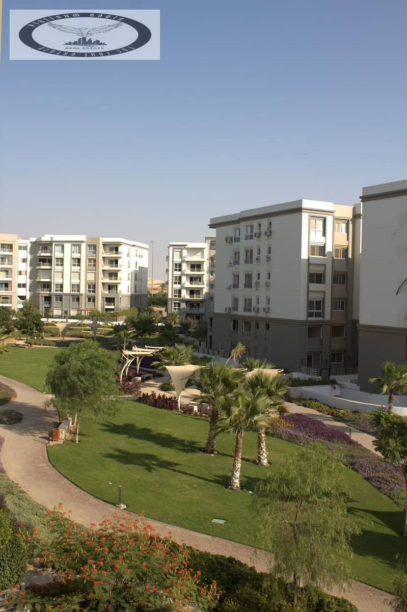 5 73b61934-4adf-4ccf-a07c-3fb64ffba61f. jpg