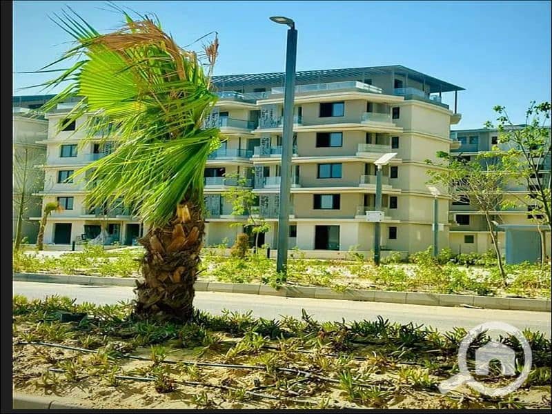 5 WhatsApp Image 2025-11-12 at 06.53. 47_d1f7e0cd. jpg