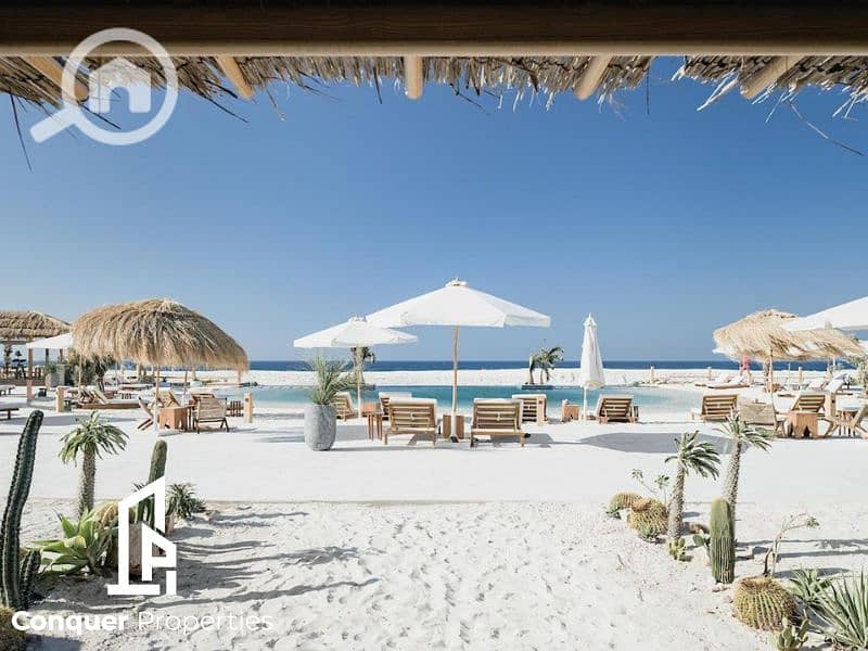 8 Untitled design - 2023-07-26T170214.393 (2). png