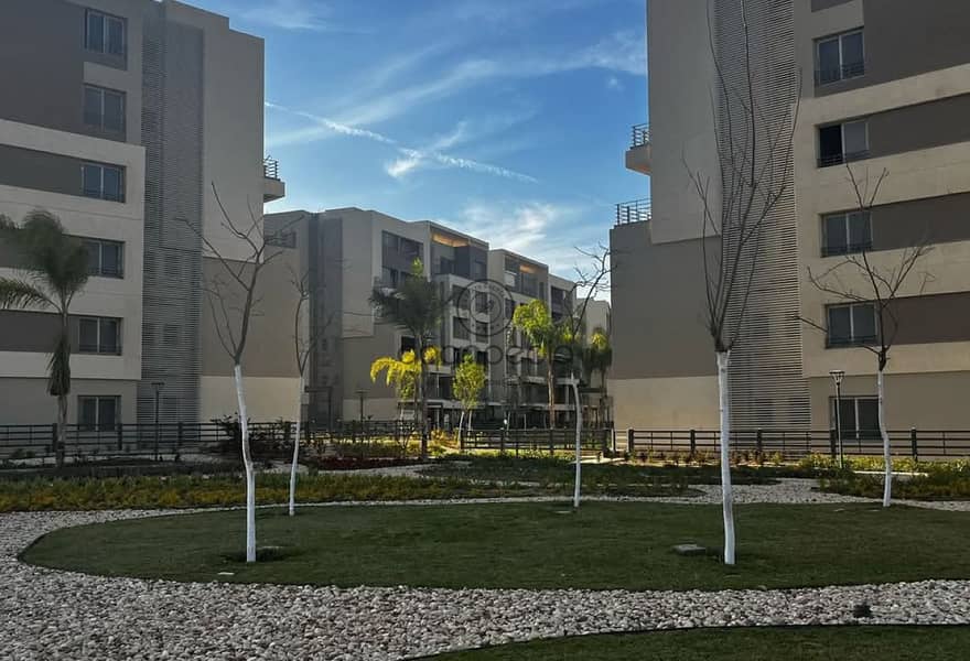 b87a0656-c15a-4acf-be45-910db95c2aaa. jpeg