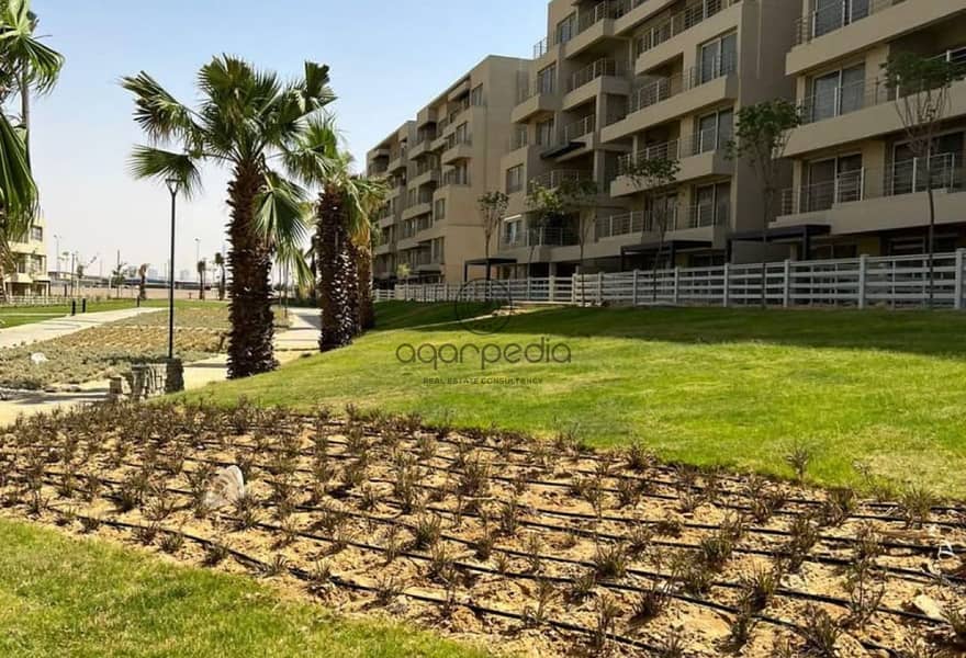 5 463a78e9-0f29-403f-87ec-774b34119157. jpeg