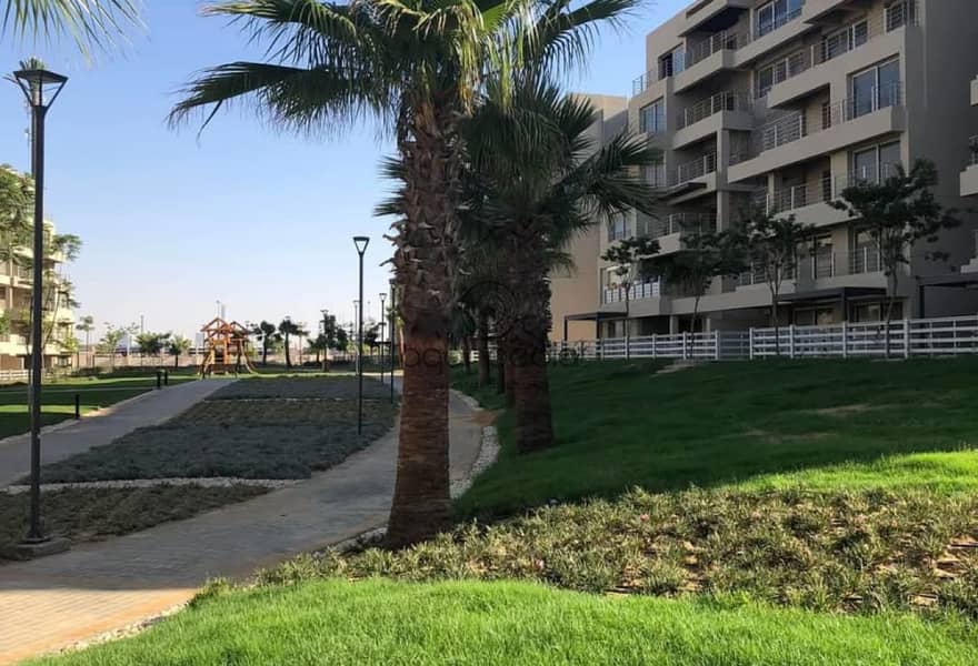 6 875f864c-87e2-41c9-96c8-6685ff70d8a6. jpeg