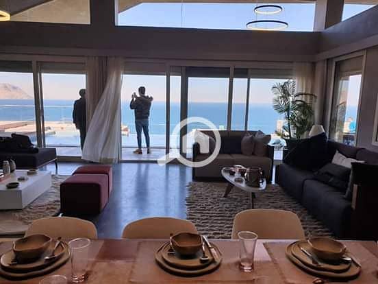 10 8458b5d9-b9f7-4392-96f2-760917373c55. jpg