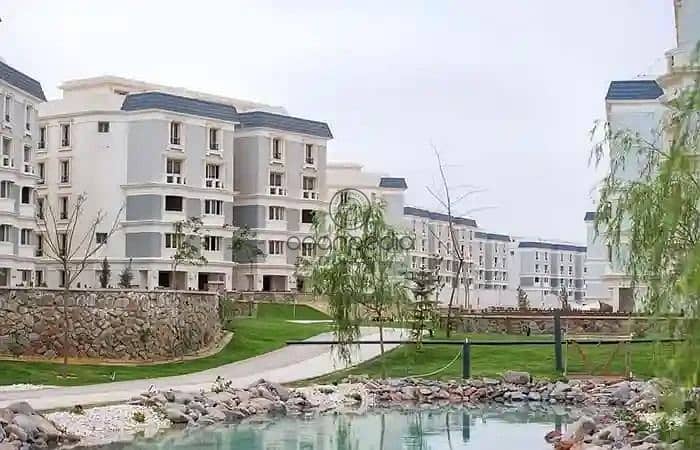 5 WhatsApp Image 2025-09-10 at 12.41. 24 PM (1). jpeg