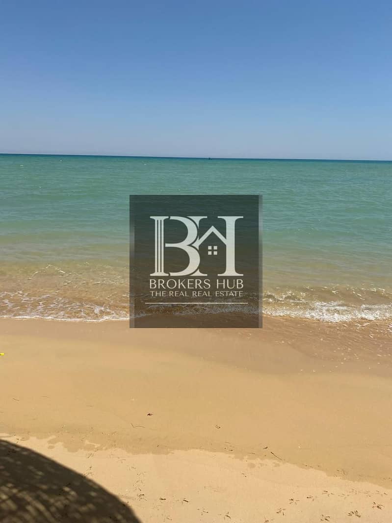 6 c6eba0d3-b5c6-445b-af14-061607a33988. jpeg