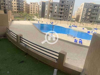 3 Bedroom Apartment for Rent in New Cairo, Cairo - 1000126202. jpg 3 Bedroom Apartment for Rent in New Cairo, Cairo - 1000126202. jpg