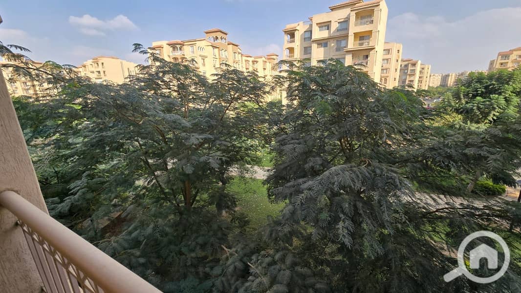 11 444ff953-3850-403b-84fc-5c2f4cf6fee0. jpg