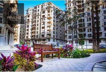 2 Bedroom Flat for Rent in Maadi, Cairo - 1000628286. jpg