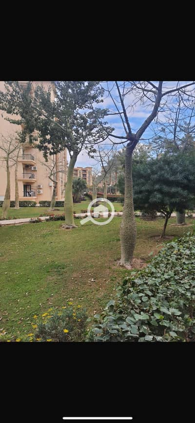 3 Bedroom Flat for Rent in New Cairo, Cairo - IMG_8245. png