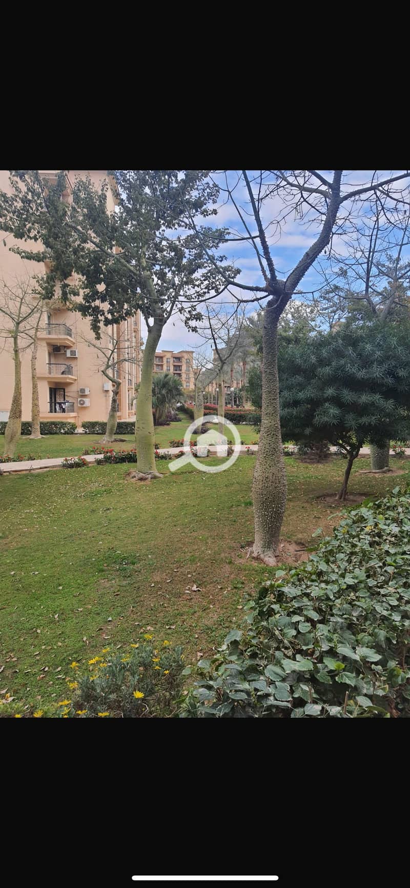 IMG_8245. png IMG_8245. png