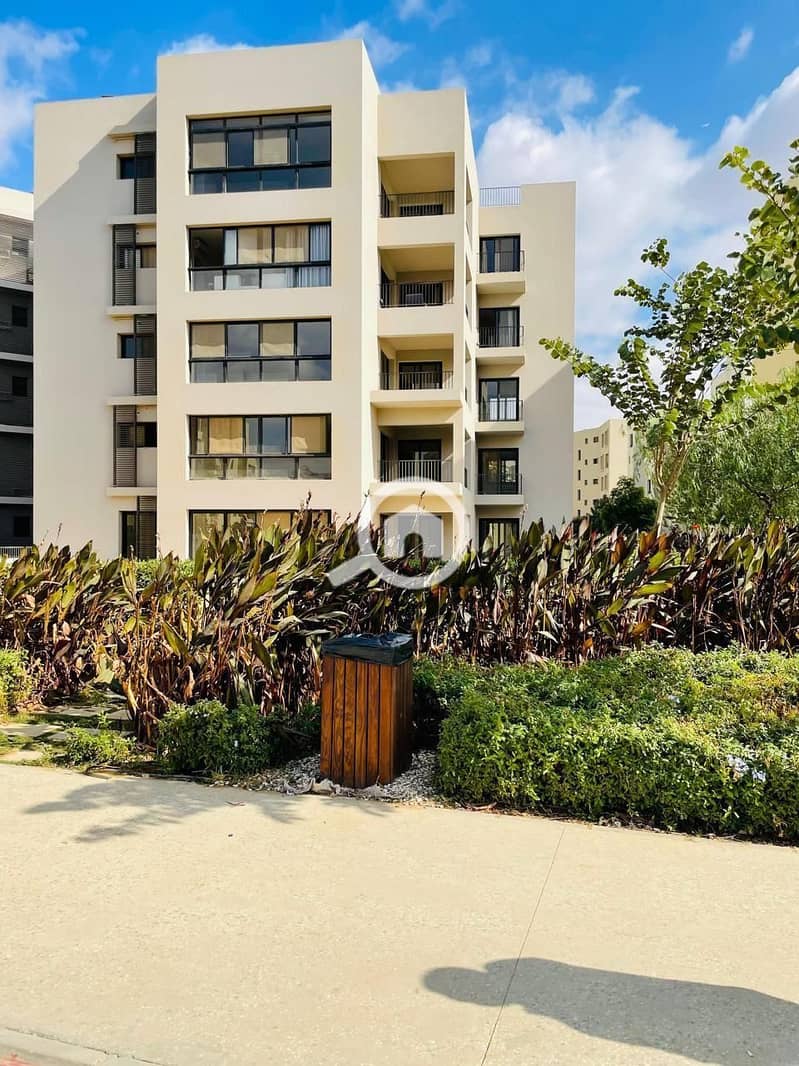 3 WhatsApp Image 2025-05-12 at 17.42. 43 (1). jpeg