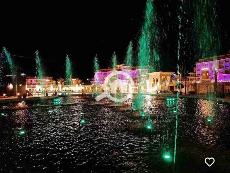 1000211526. jpg 1000211526. jpg