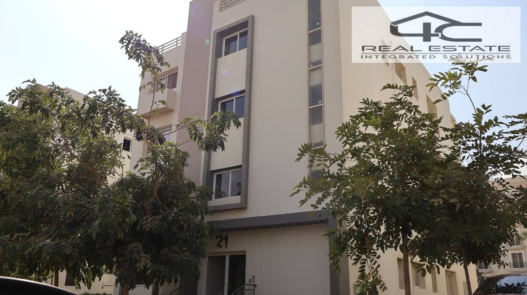 3 WhatsApp Image 2025-11-11 at 10.48. 40 PM (1). jpeg