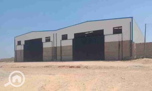 Industrial for Sale in 6th of October, Giza - 1000135744. jpg