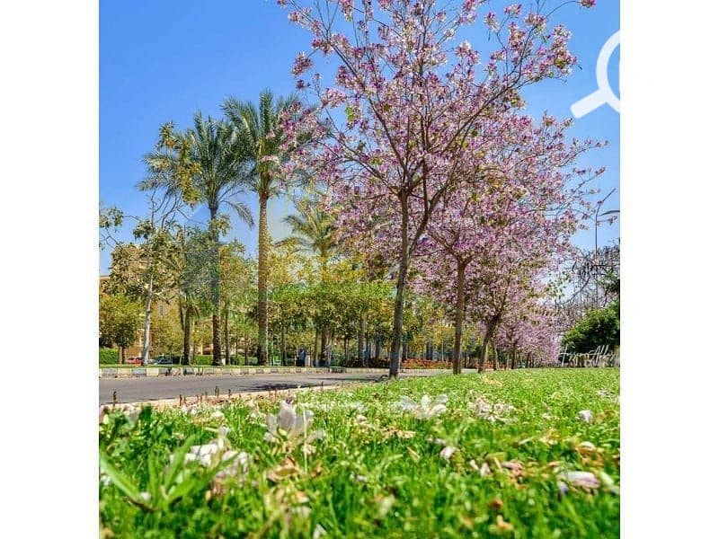 22 WhatsApp Image 2024-09-04 at 5.12. 59 AM. jpeg