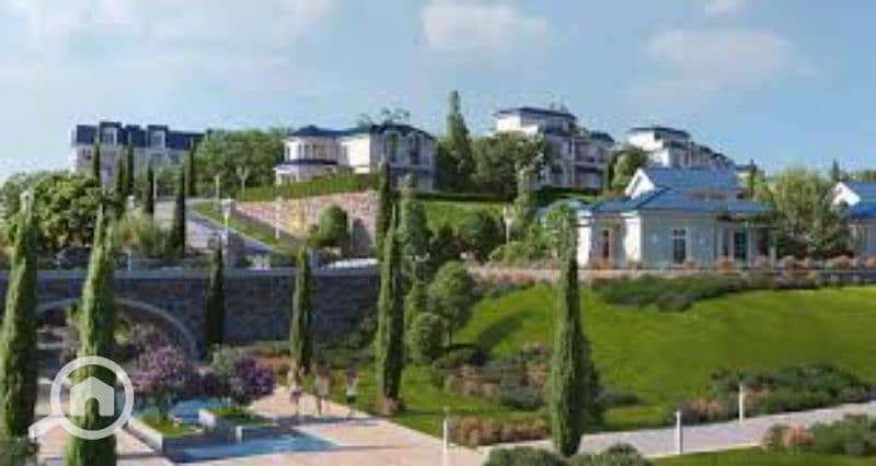 12 images (1). jfif. jpg