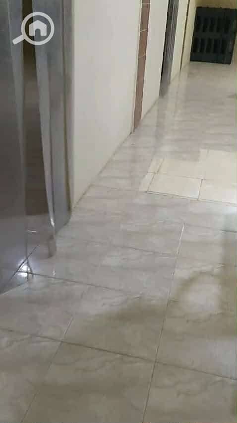 3 6c78f44c-c944-4382-bd97-0773bb8d38e8. jpeg