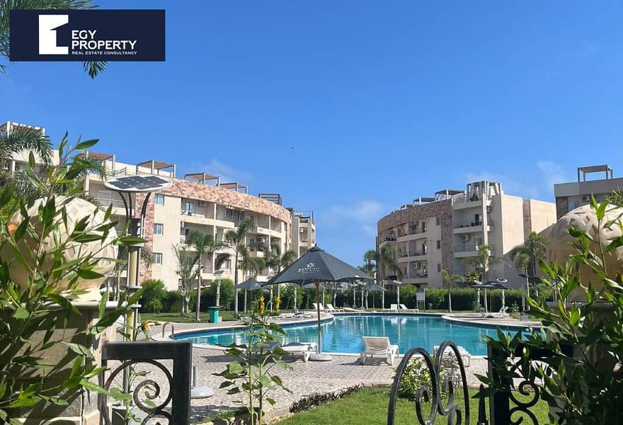 2 f1b330ce-7d16-4c9e-a398-800a74015124 (1). jpg