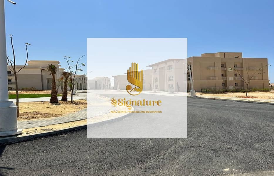 8 11d56970-59e5-43f8-824f-dc0494a8c708. jpg