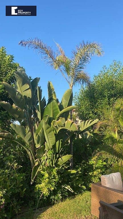 10 _files_WhatsApp Image 2025-07-12 at 1.54. 36 PM. jpeg