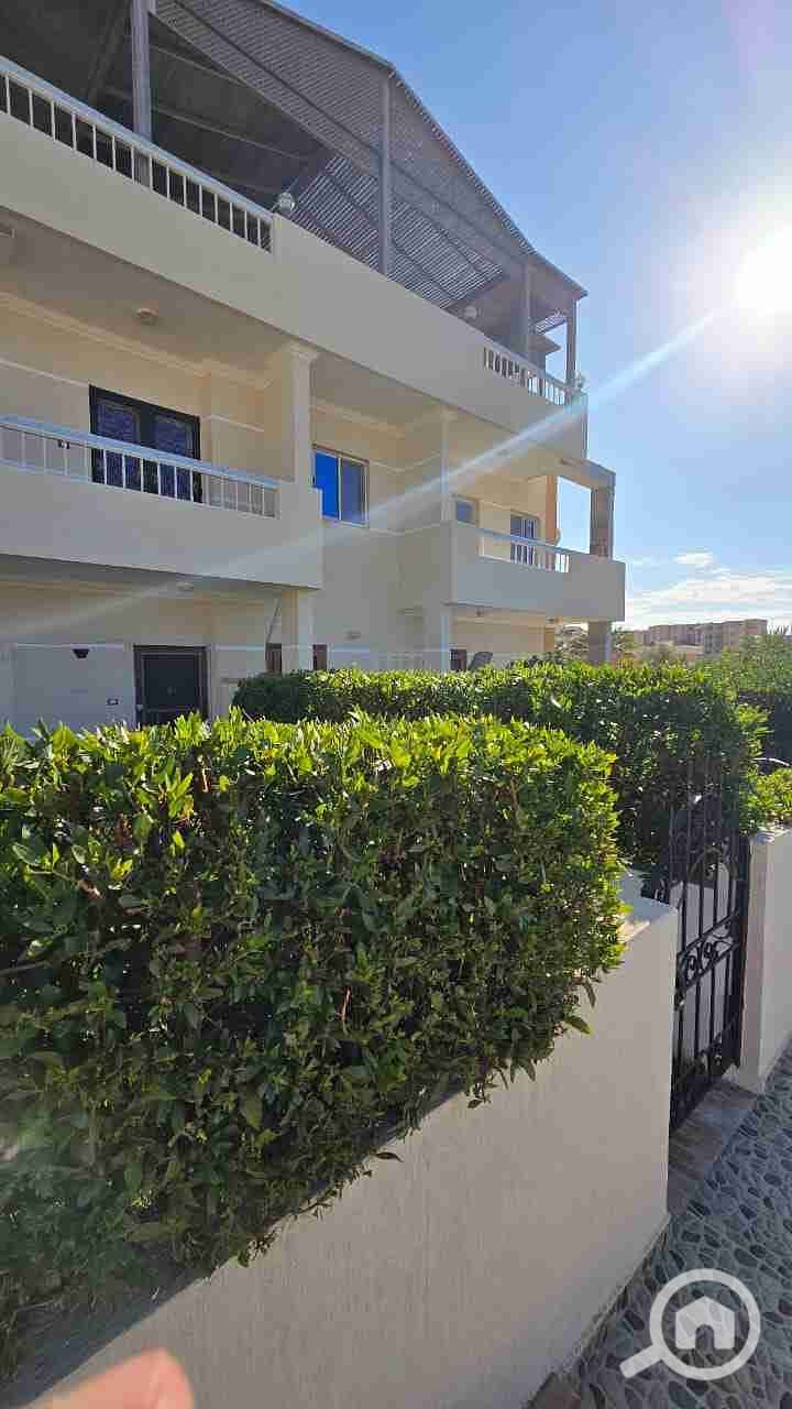 1001064507. jpg 1001064507. jpg