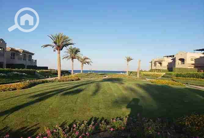 6 2377063-aca9fo. webp