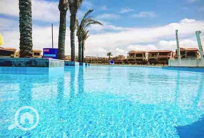 7 2377063-1ed2do. webp