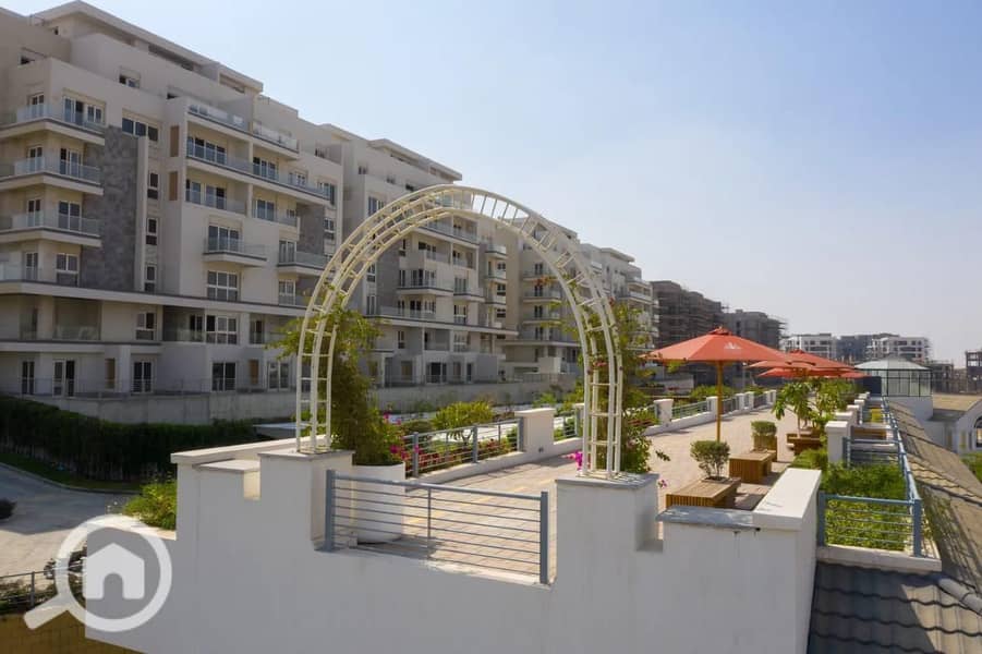 6 photo_2025-02-23_20-29-38. jpg