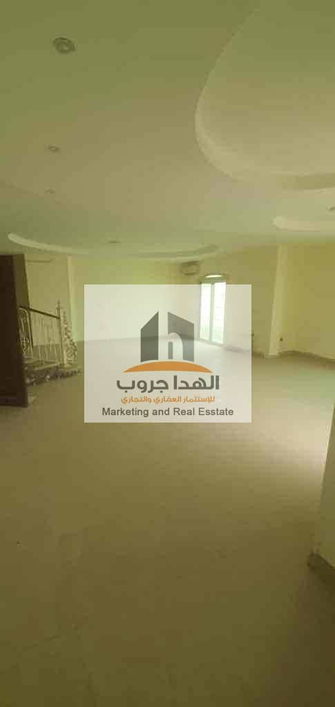 4 d7140afa-7262-4865-8d0e-06a3166def82. jpg