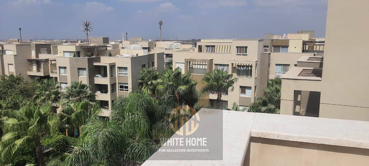 2 55ab54e0-3e1b-47d1-98ad-5a59029eda2d. jpeg