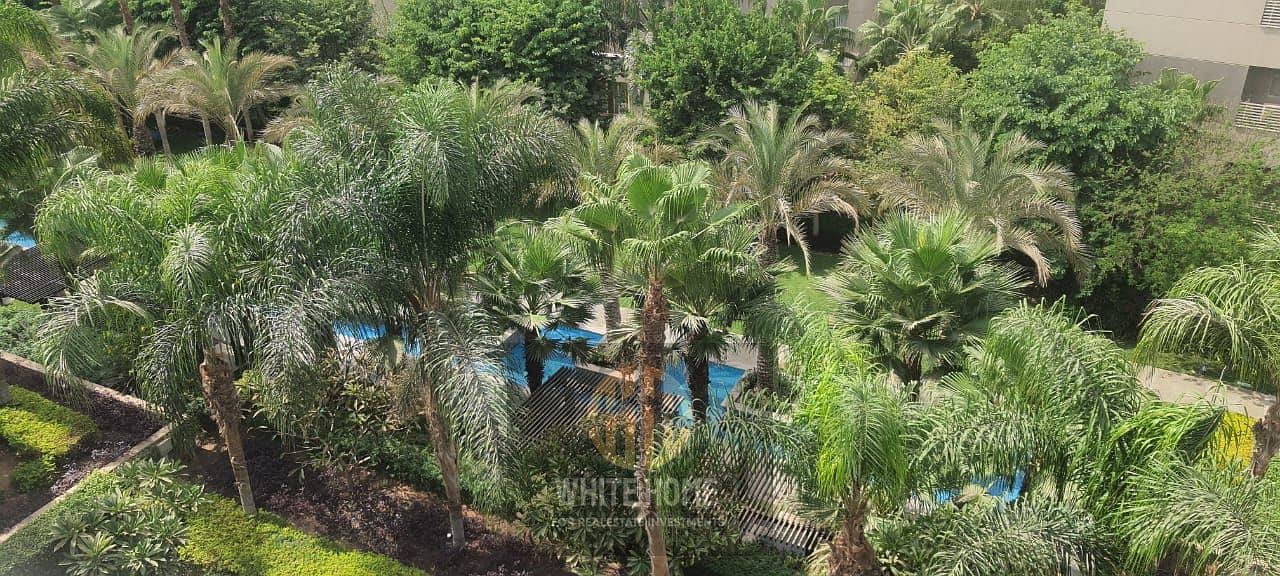 3 68564395-2504-4bae-8f8a-a622b278d8cf. jpeg