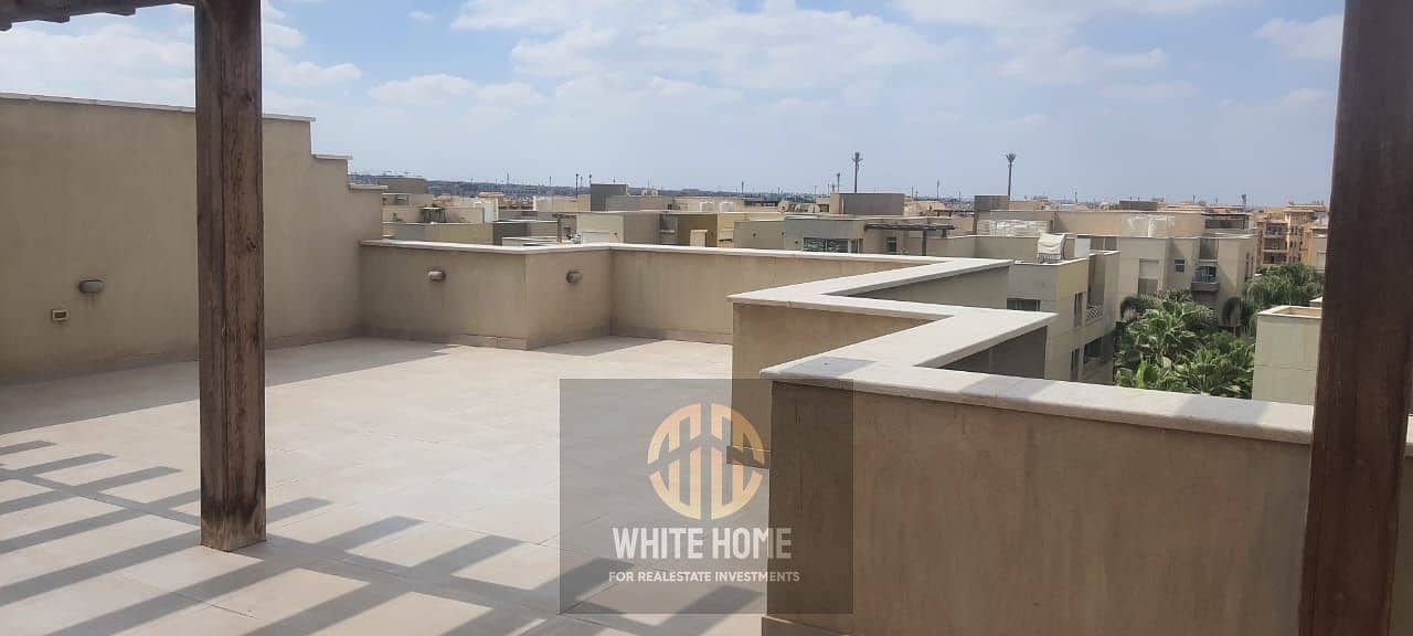 7 dfdc79d6-7951-4633-9724-e9c683eb66ce. jpeg