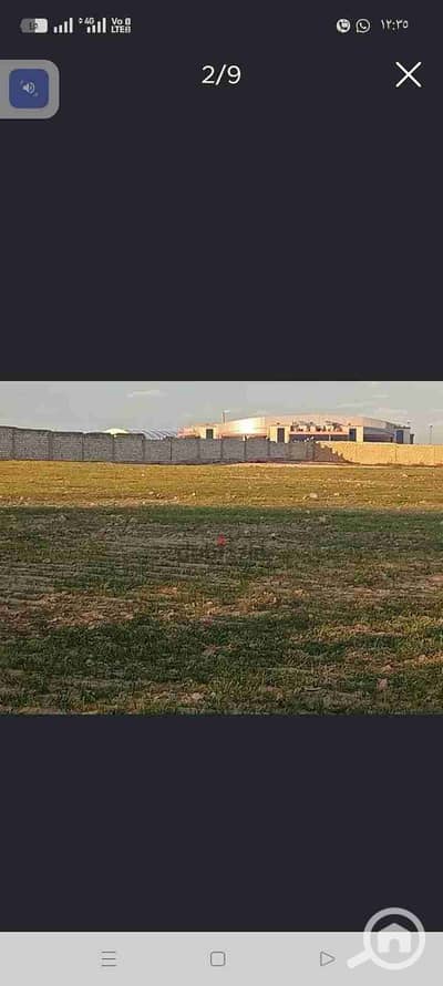 Residential Land for Sale in King Mariout, Alexandria - 9479. jpg