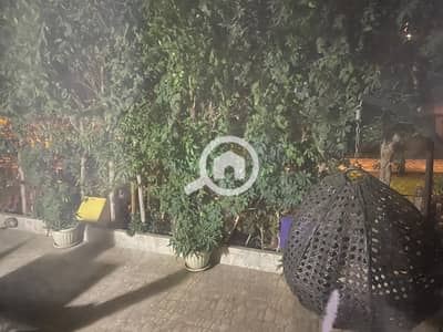 3 Bedroom Apartment for Sale in Madinaty, Cairo - WhatsApp Image 2025-11-12 at 4.33. 33 PM (2). jpeg 3 Bedroom Apartment for Sale in Madinaty, Cairo - WhatsApp Image 2025-11-12 at 4.33. 33 PM (2). jpeg