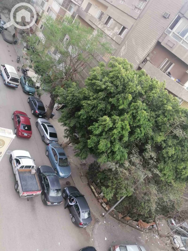 IMG_20250406_170022. jpg