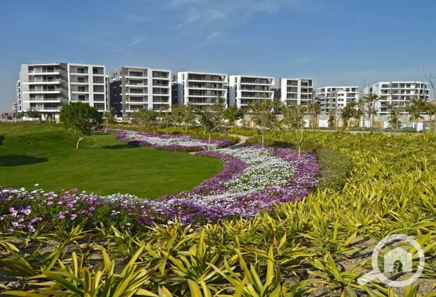 7 a9ca4533-d476-47b8-a5e2-b21cf2c32031. jpg