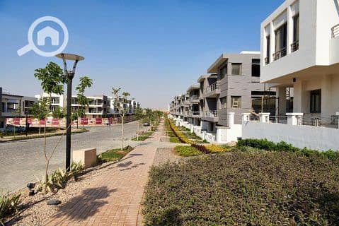 10 654853_extra. jpg