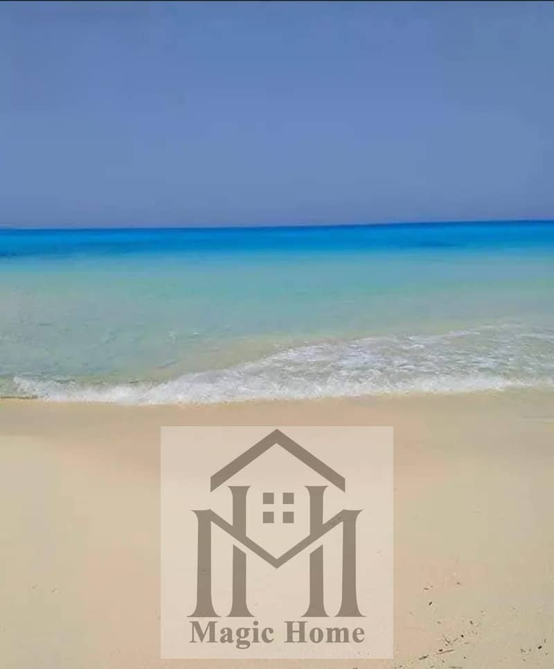 7 36dcec3d-a4d0-483d-b85b-89dba7ea3dc1. jpg